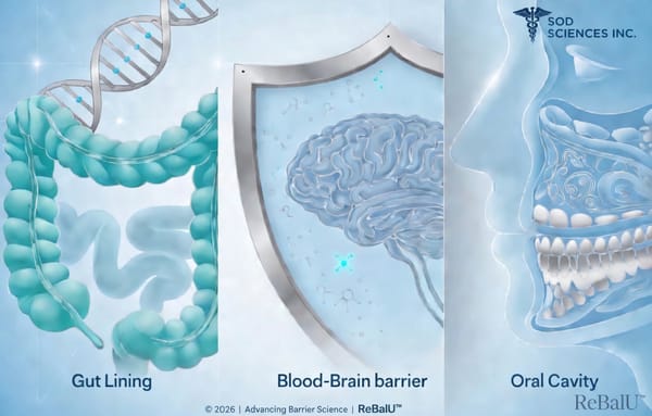 ReBalU: Fixing the Body's Walls to Prevent Chronic Disease